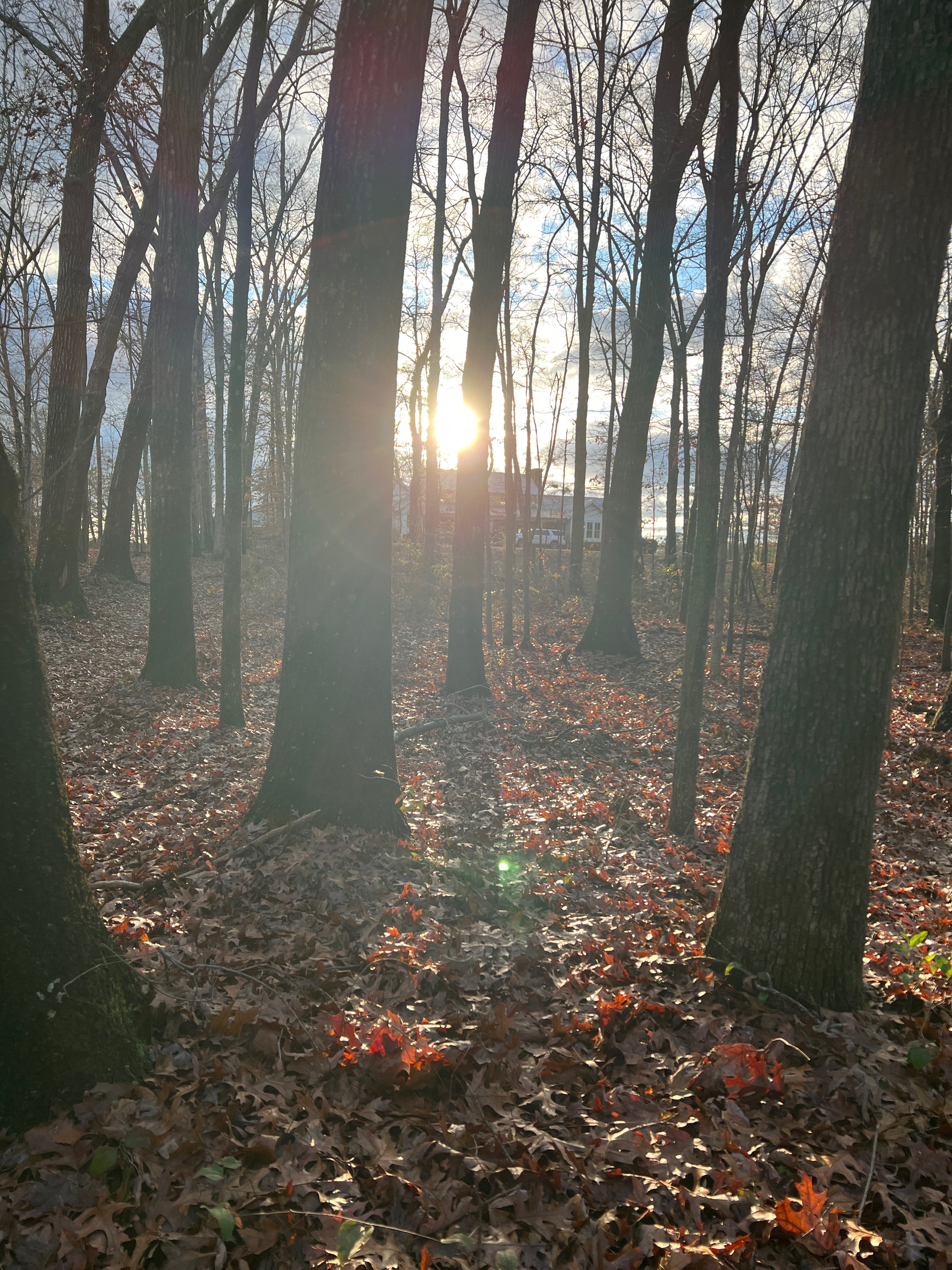 In the Stillness . . .