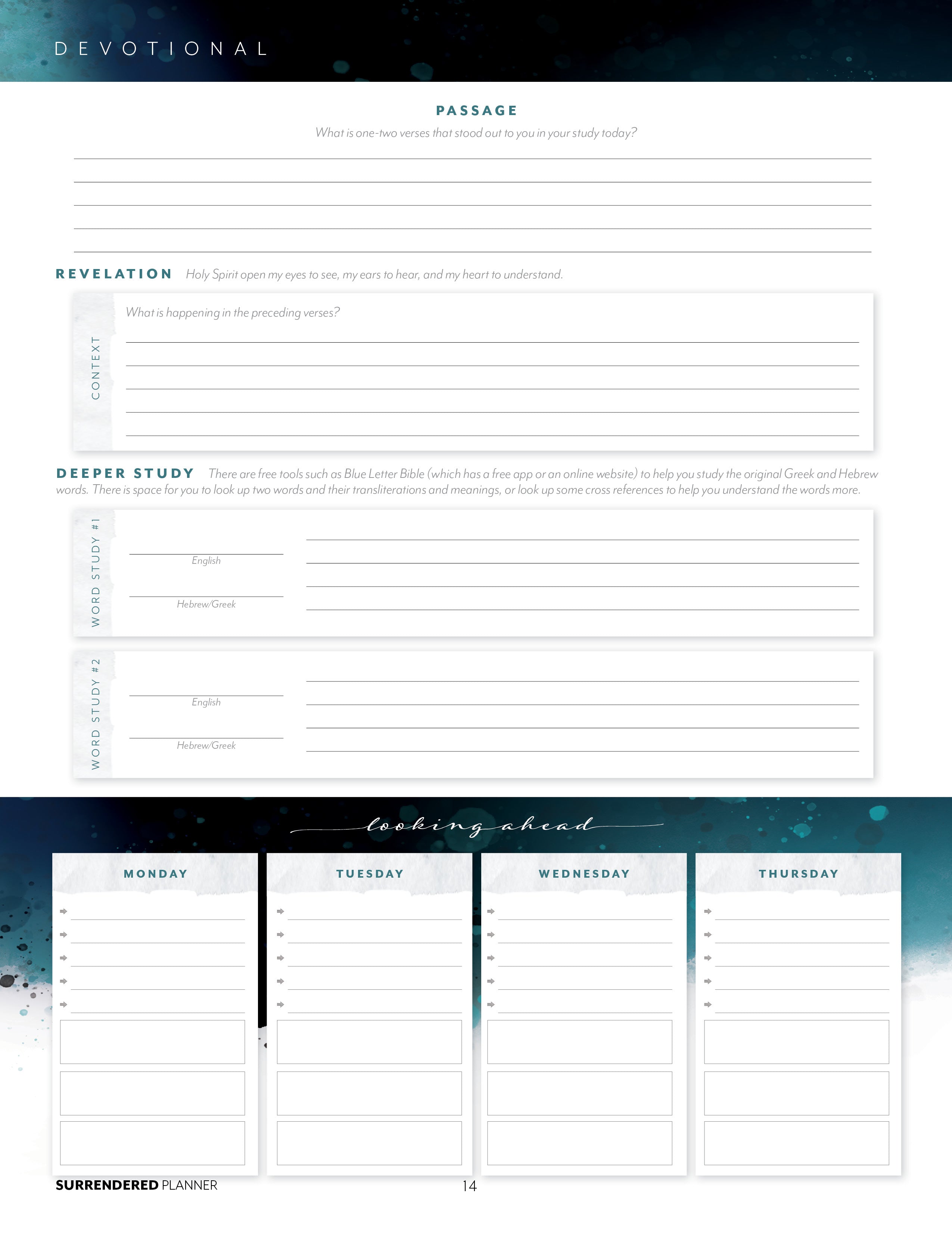 Surrendered Planner
